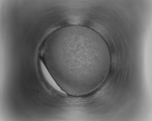 X0000088450626200706051307