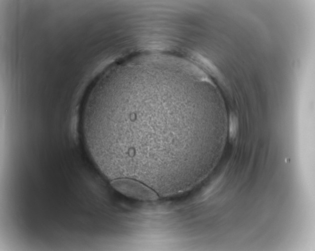 X0000088450627200706051307
