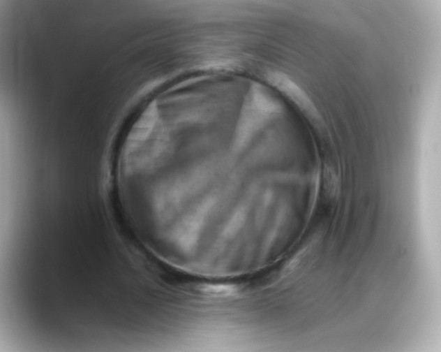 X0000088450628200706051307