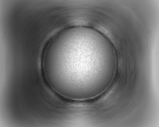 X0000088450629200706051307