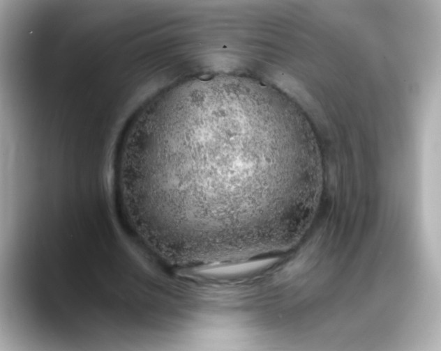 X0000088450630200706051307