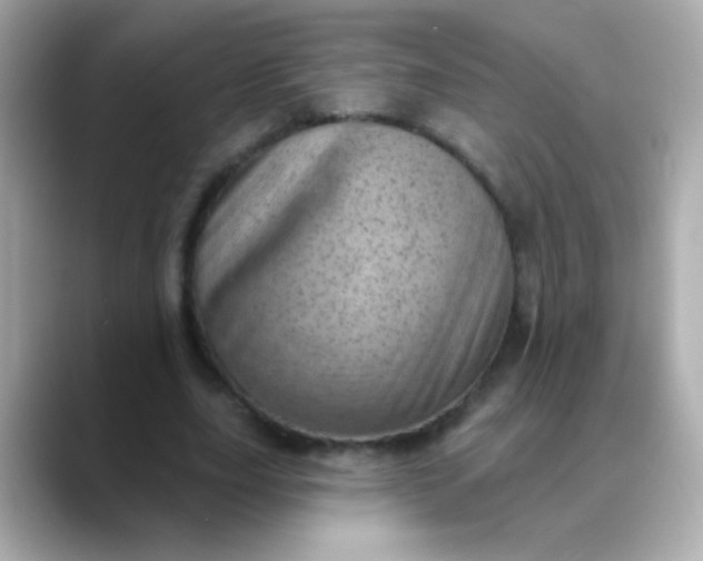 X0000088450631200706051307