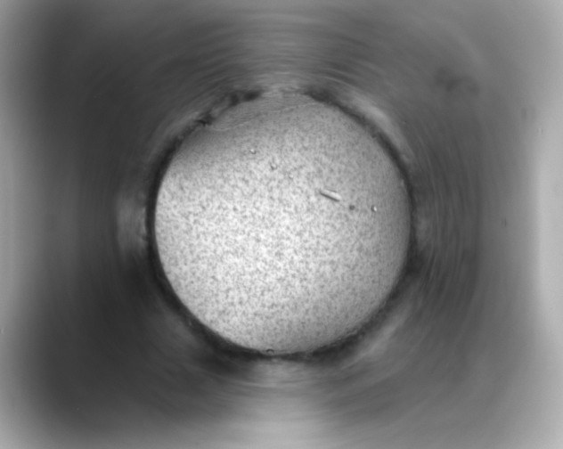 X0000088450633200706051307