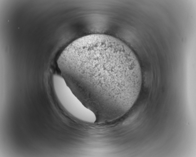 X0000088450634200706051307