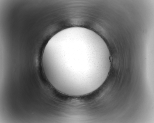 X0000088450635200706051307