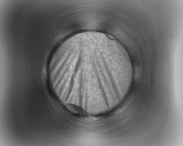 X0000088450636200706051307