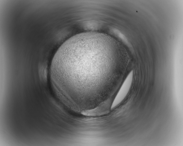 X0000088450637200706051307