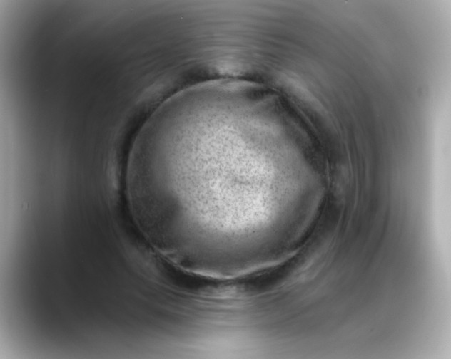 X0000088450639200706051307