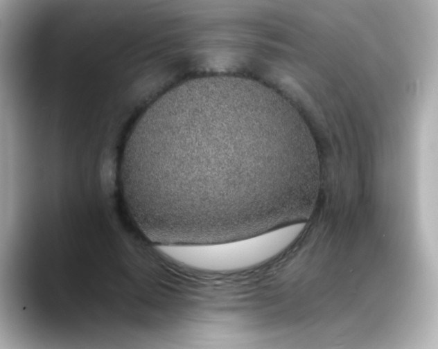 X0000088450640200706051307