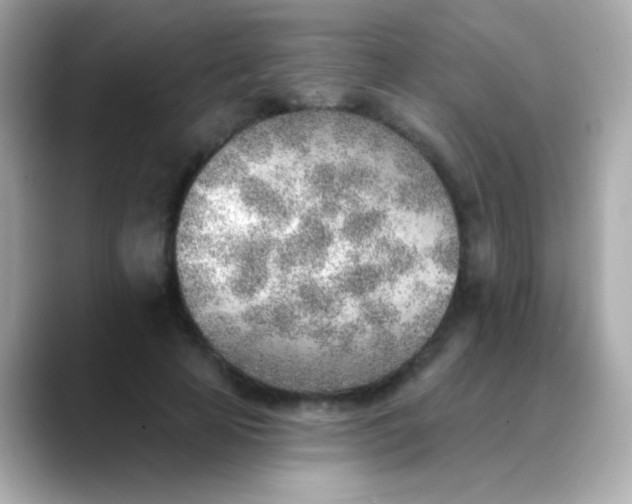 X0000088450641200706051307