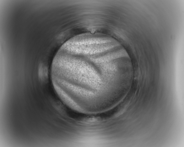 X0000088450646200706051307