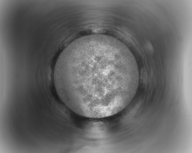 X0000088450650200706051307