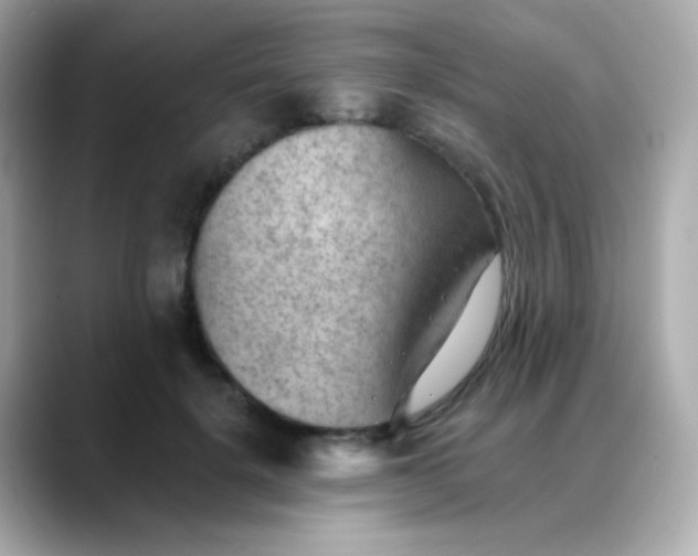 X0000088450652200706051307