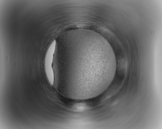 X0000088450653200706051307
