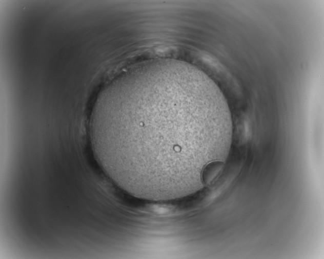X0000088450654200706051307