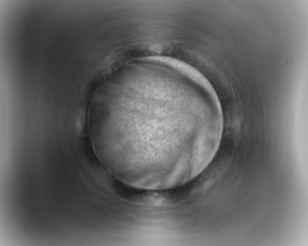 X0000088450656200706051307