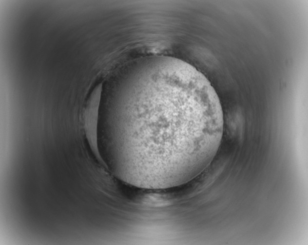 X0000088450657200706051307