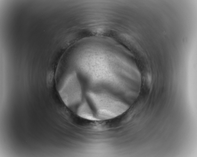 X0000088450660200706051307