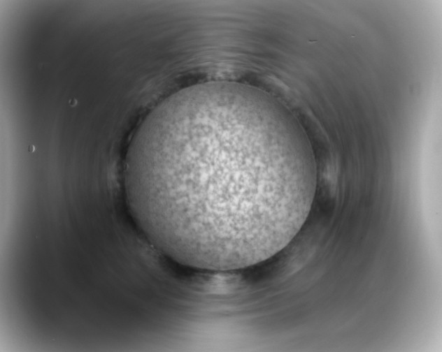X0000088450663200706051307