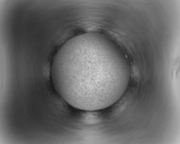 X0000088450664200706051307