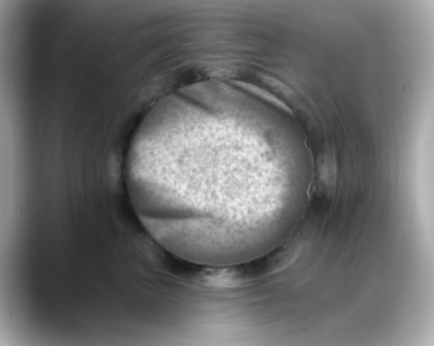 X0000088450667200706051307