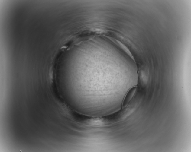 X0000088450668200706051307