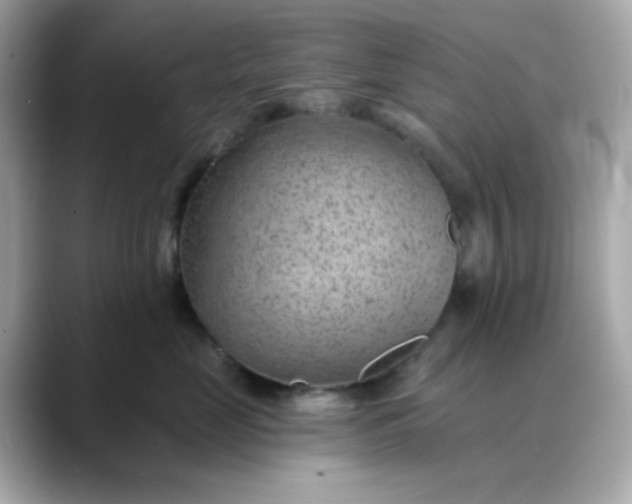 X0000088450669200706051307