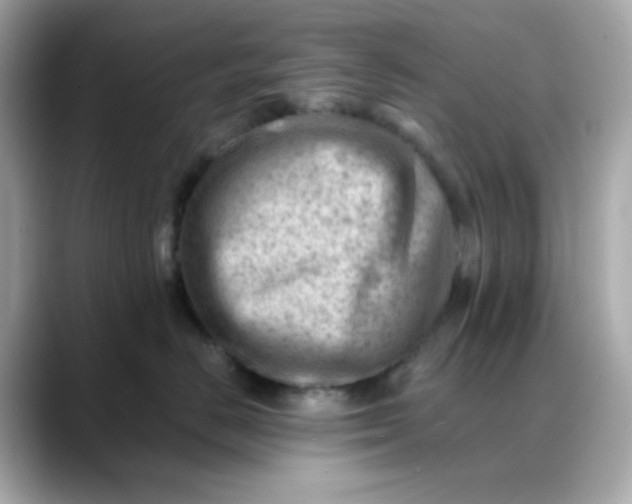 X0000088450670200706051307
