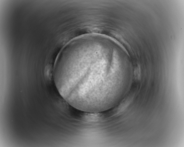 X0000088450671200706051307