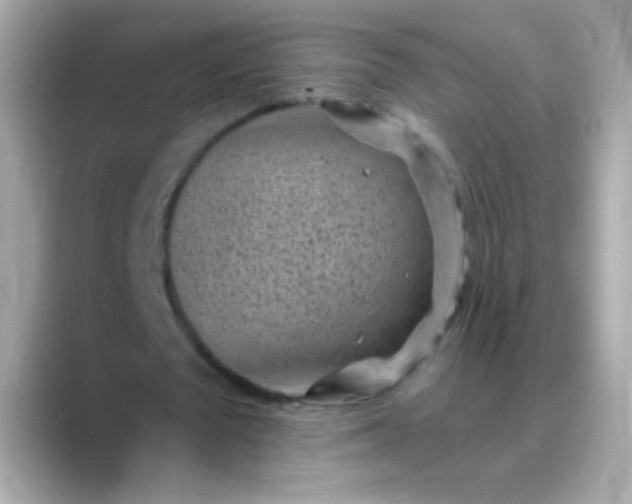 X0000088450673200706051307