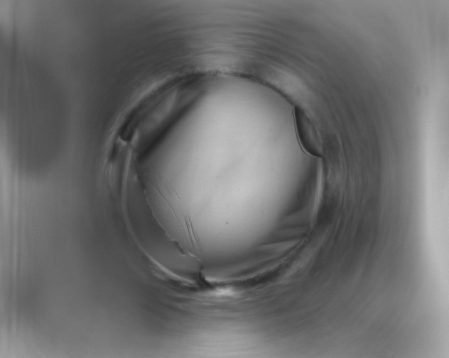 X0000088450674200706051307