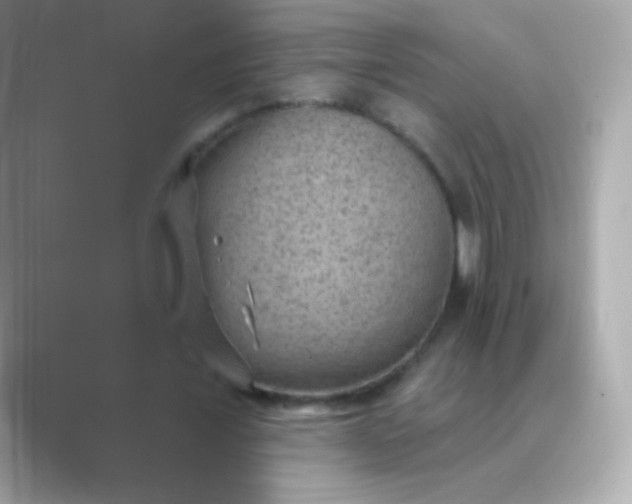 X0000088450675200706051307