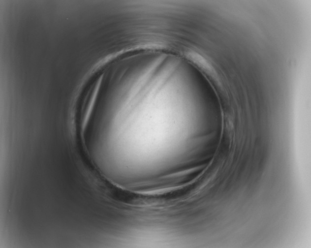 X0000088450676200706051307
