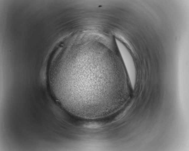 X0000088450677200706051307