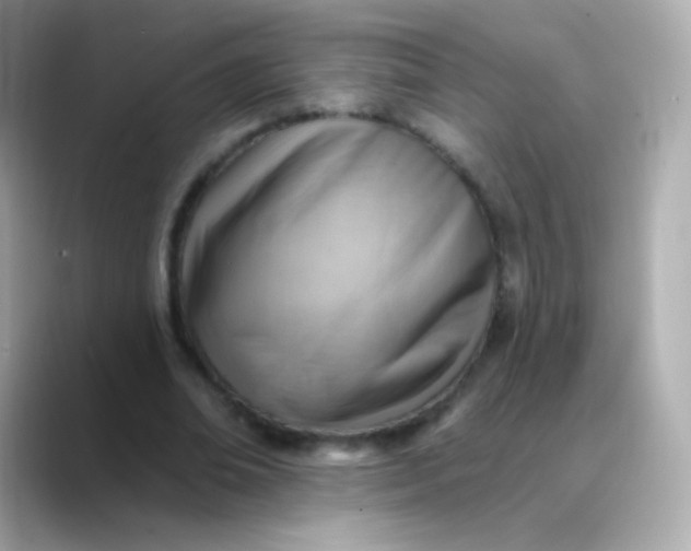 X0000088450678200706051307