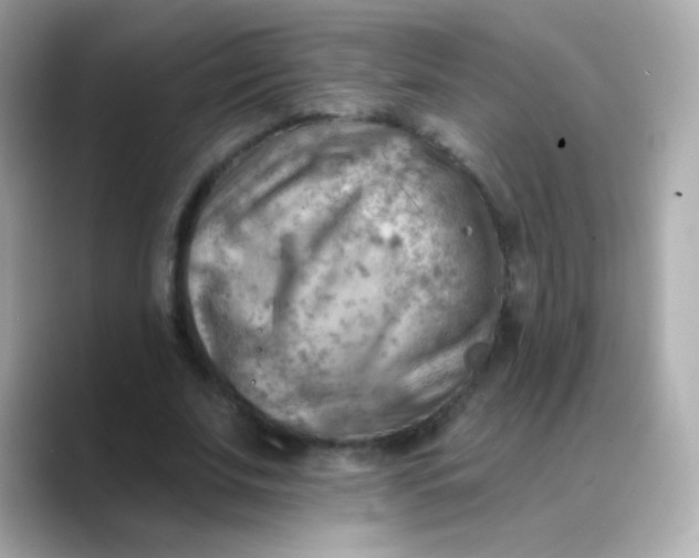 X0000088450679200706051307