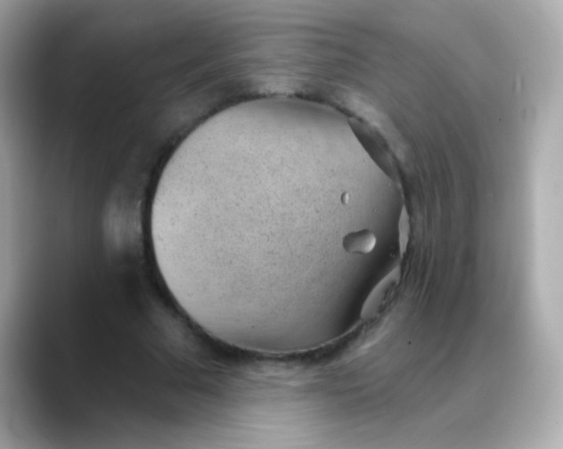 X0000088450681200706051307