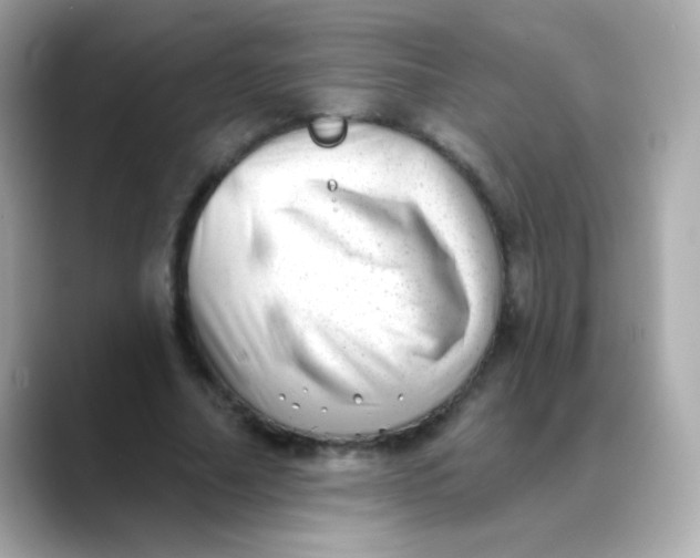X0000088450682200706051307