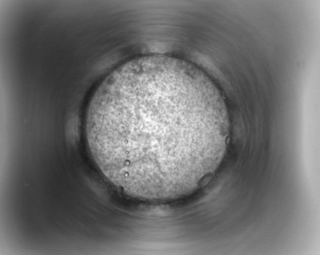X0000088450683200706051307