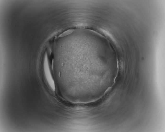 X0000088450684200706051306