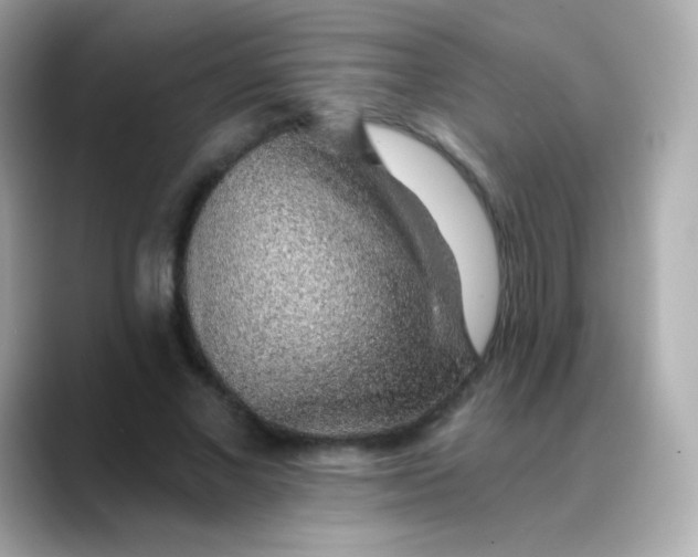 X0000088450685200706051306