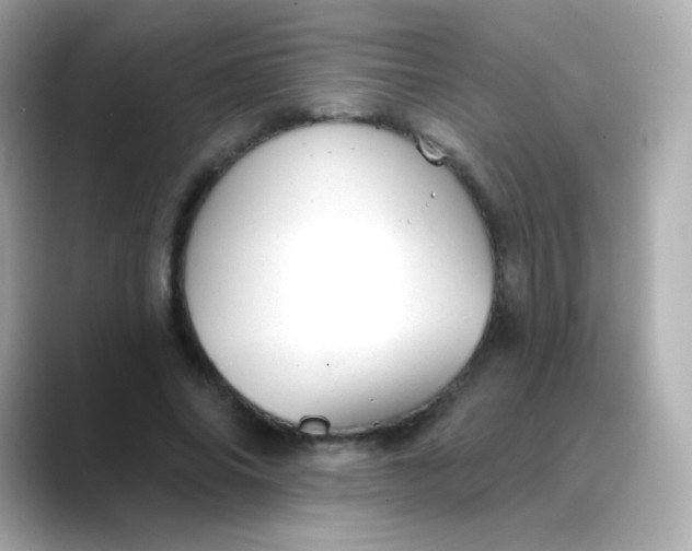 X0000088450686200706051306