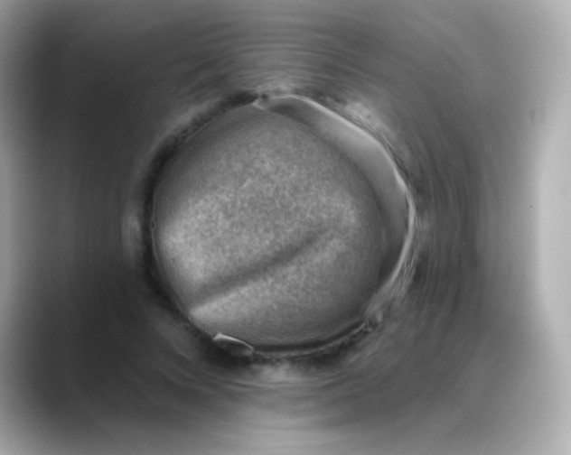 X0000088450688200706051306