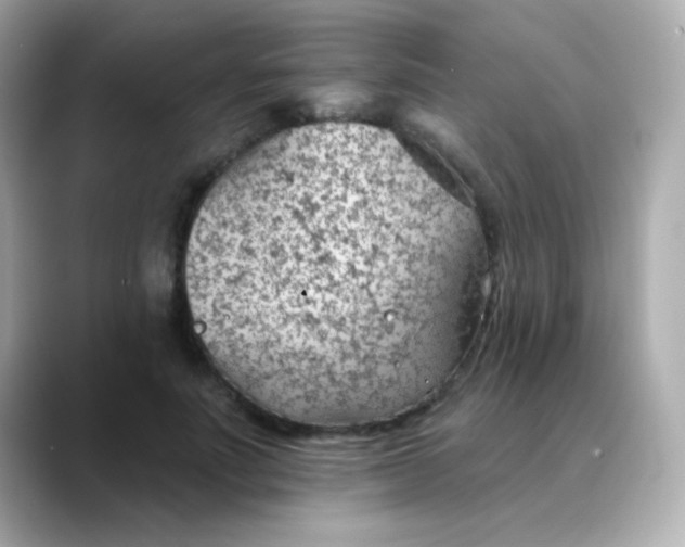 X0000088450691200706051306