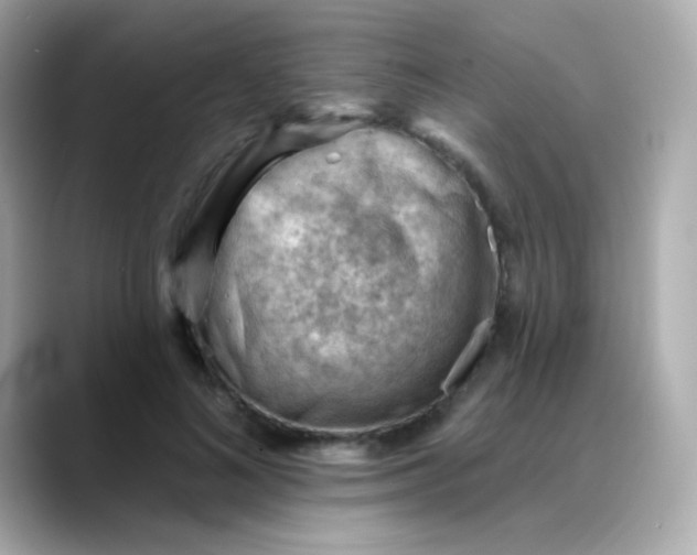 X0000088450692200706051306