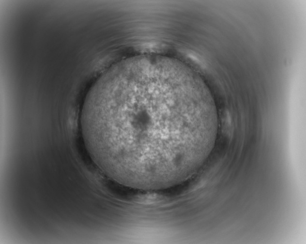 X0000088450695200706051306
