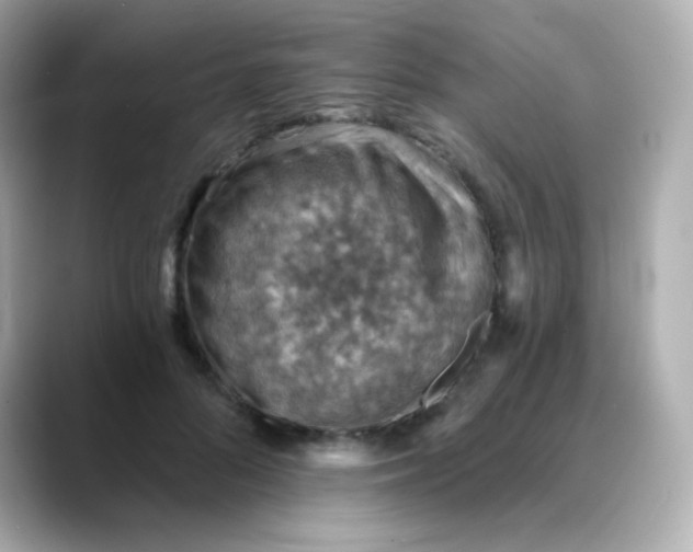 X0000088450696200706051306