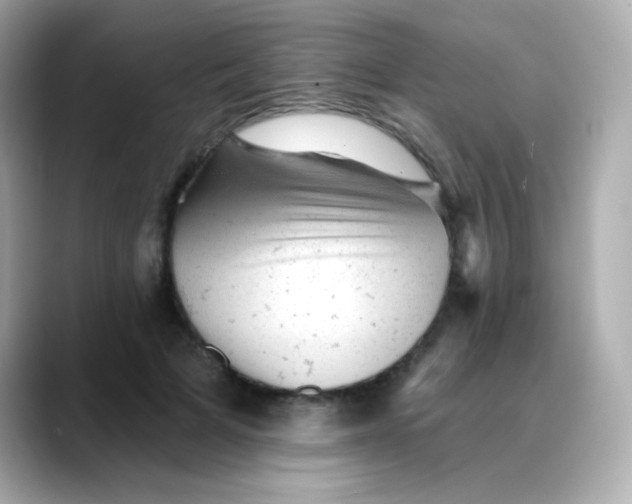 X0000088450697200706051306