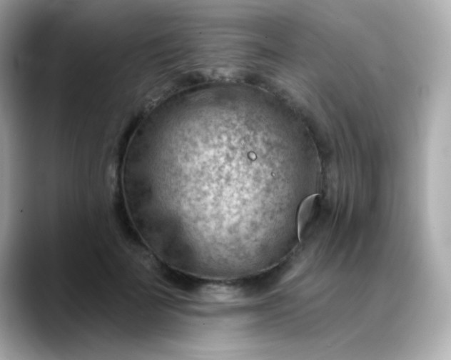 X0000088450699200706051306