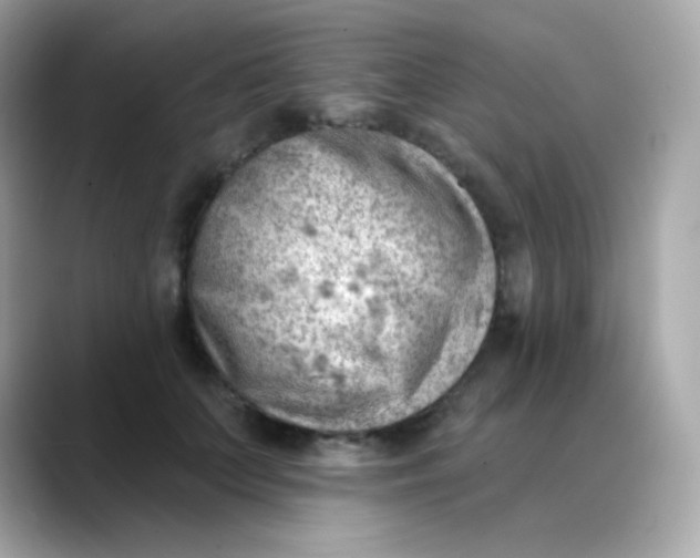 X0000088450703200706051306